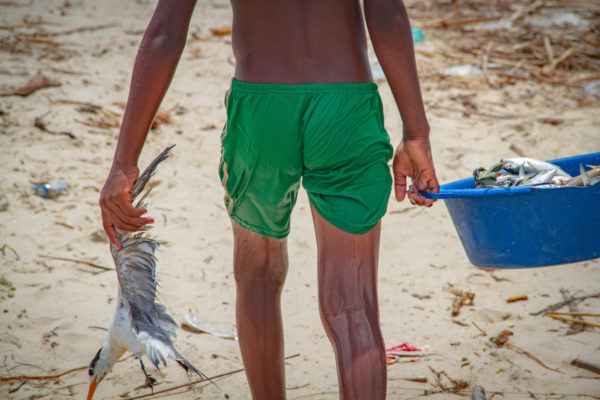 Photographie de Madagascar. Village de pêcheurs de Morondava. Adolescent de dos, avec seulement un short vert mouillé. Il tient dans sa main gauche une mouette morte, et dans la droite l'une des anses d'un bassine pleine de poussons.