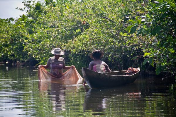 Photographie de Madagascar. Femmes pêchant à la moustiquaire,dans le Canal des Pangalanes.