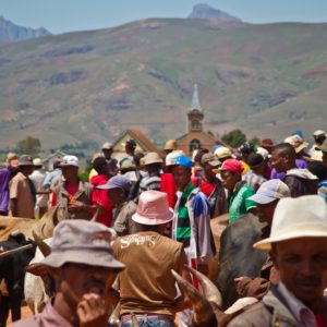 Photographie de Madagascar. Marche de zébus d'Ambalavao. Foule de Malgaches, avec clocher en fond.