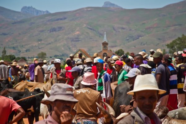 Photographie de Madagascar. Marche de zébus d'Ambalavao. Foule de Malgaches, avec clocher en fond.