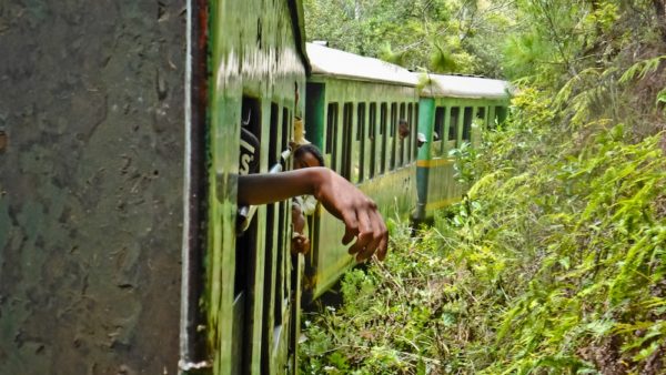 Photographie de Madagascar. Vue depuis le train de la FCE. 3 wagons de la rame, dans la brousse, dans un virage, avec une main et une partie de l'avant-bras, nonchalante qui sort d'une fenêtre