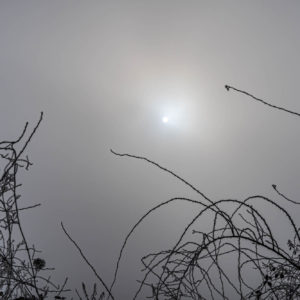 Soleil à travers le brouillard.